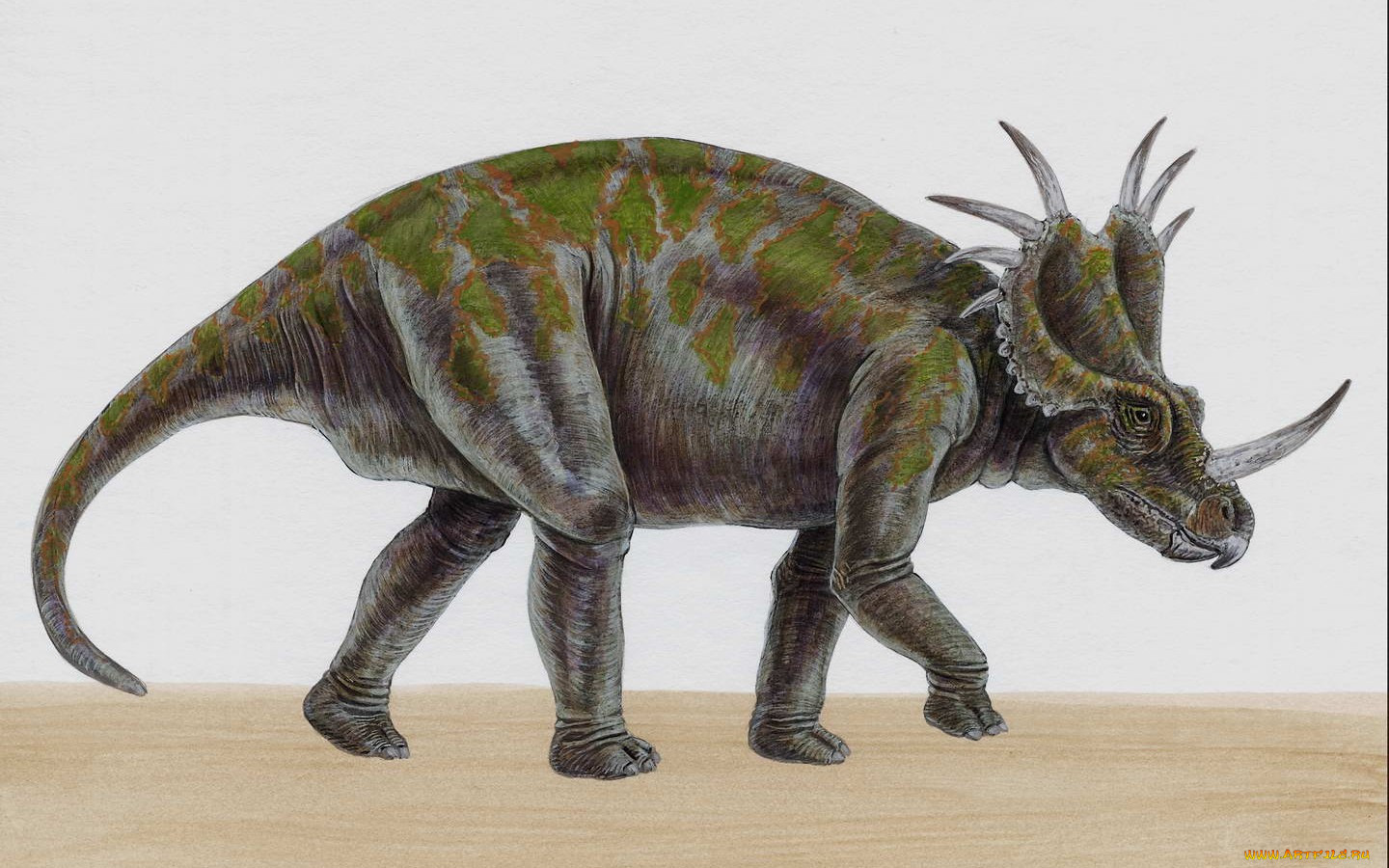 Gryphoceratops Morrisoni